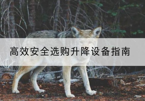 兴义升降货梯厂家推荐-*安全选购升降设备指南
