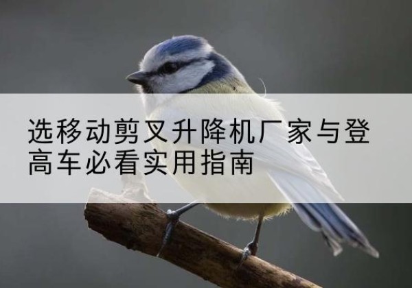 兴义电动升降机厂家-选移动剪叉升降机厂家与登高车必看实用指南