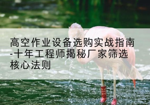 兴义剪叉式升降机厂家-高空作业设备选购实战指南-十年工程师揭秘厂家筛选核心法则